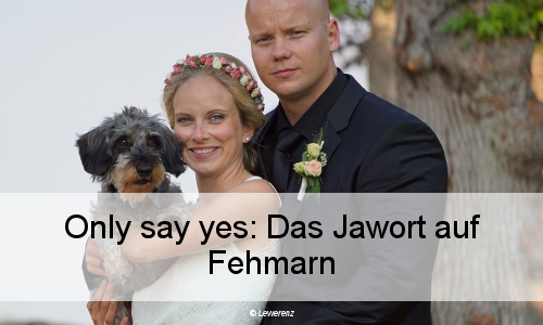 Herr Elsters Hochzeit